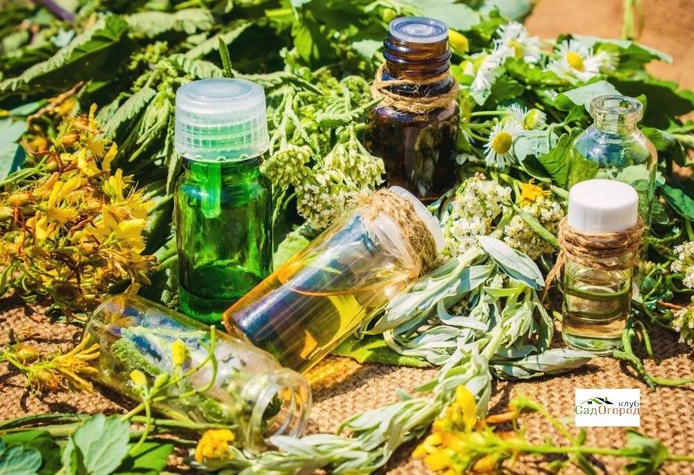 ЖИДКИЕ МАСЛА